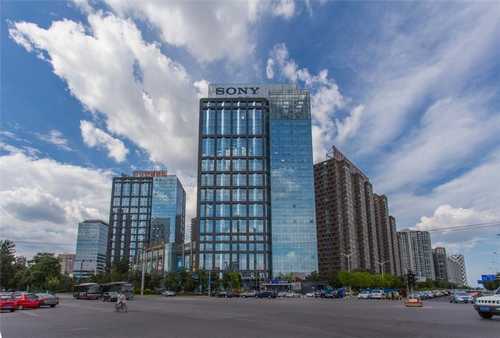 上海成人中医体质辨识仪厂家推荐