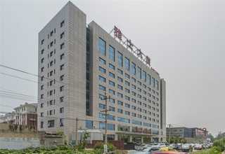 株洲美毛亮发狗粮零食营养品要多少钱